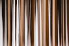 Abstract vertical tree trunks. Art Print